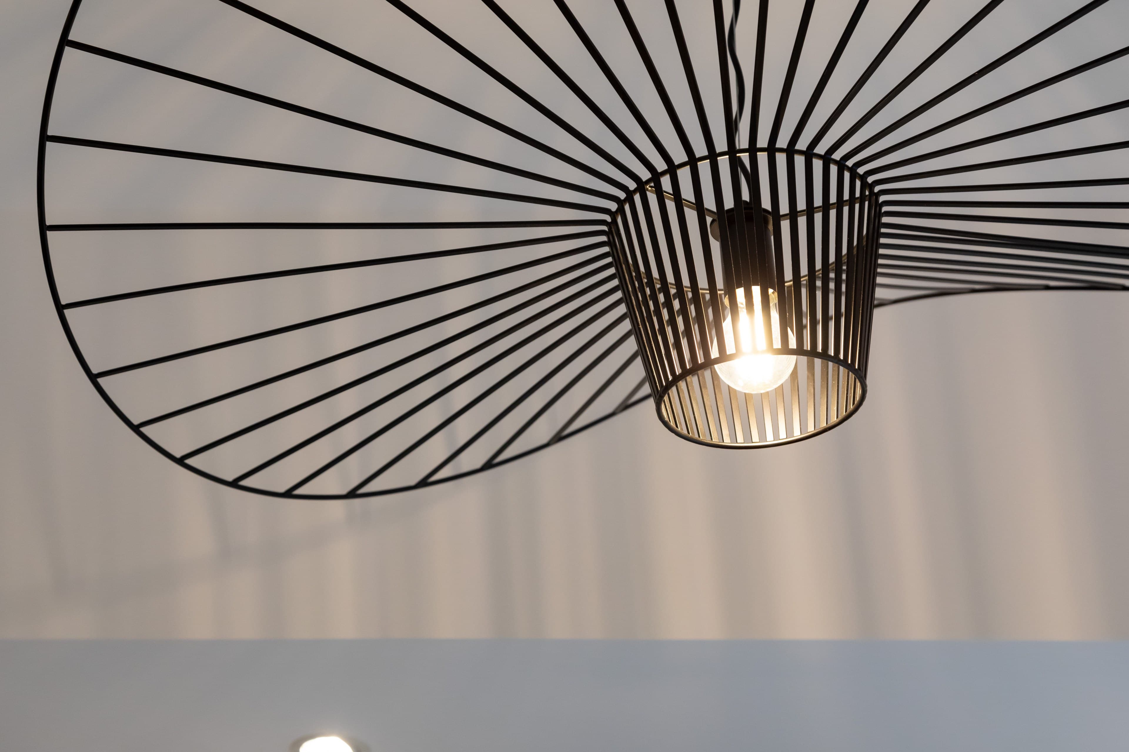 Vida Wolf Interior fit-out project